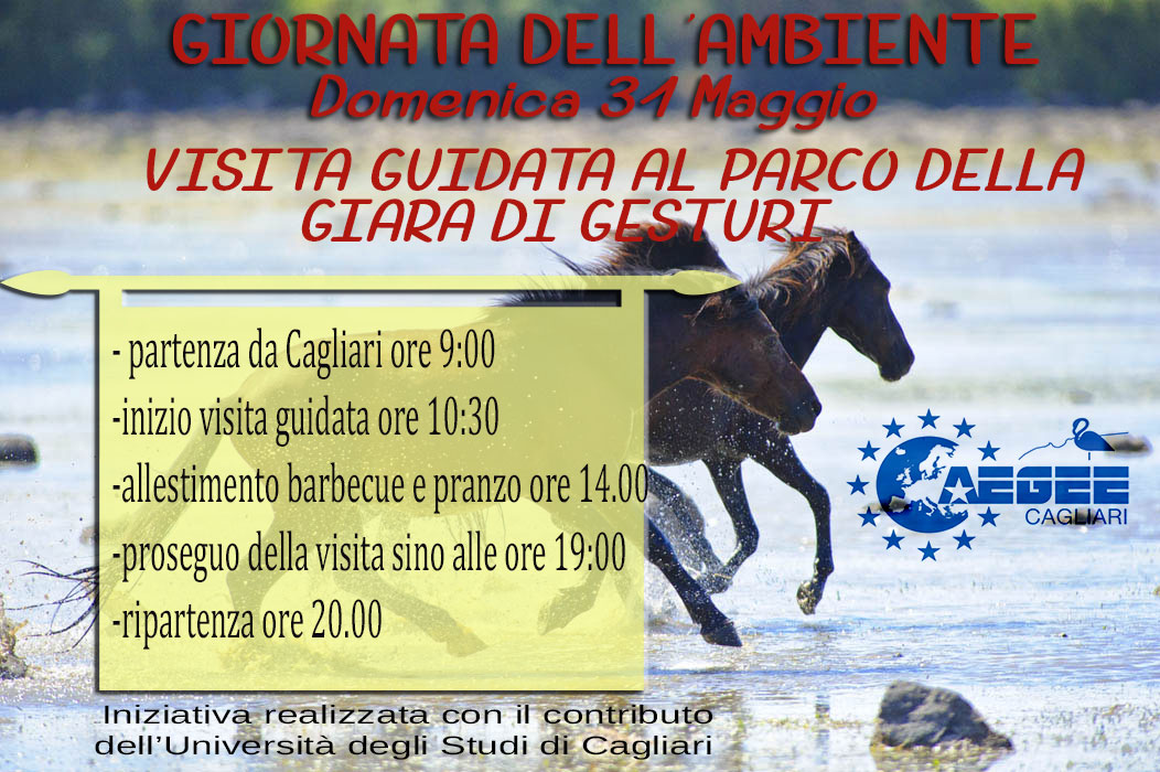 locandina