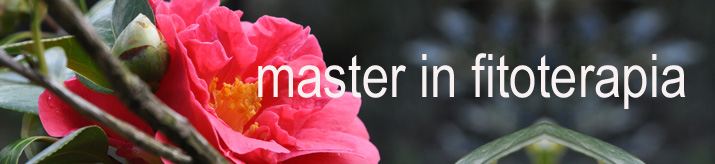 master in fitoperapia