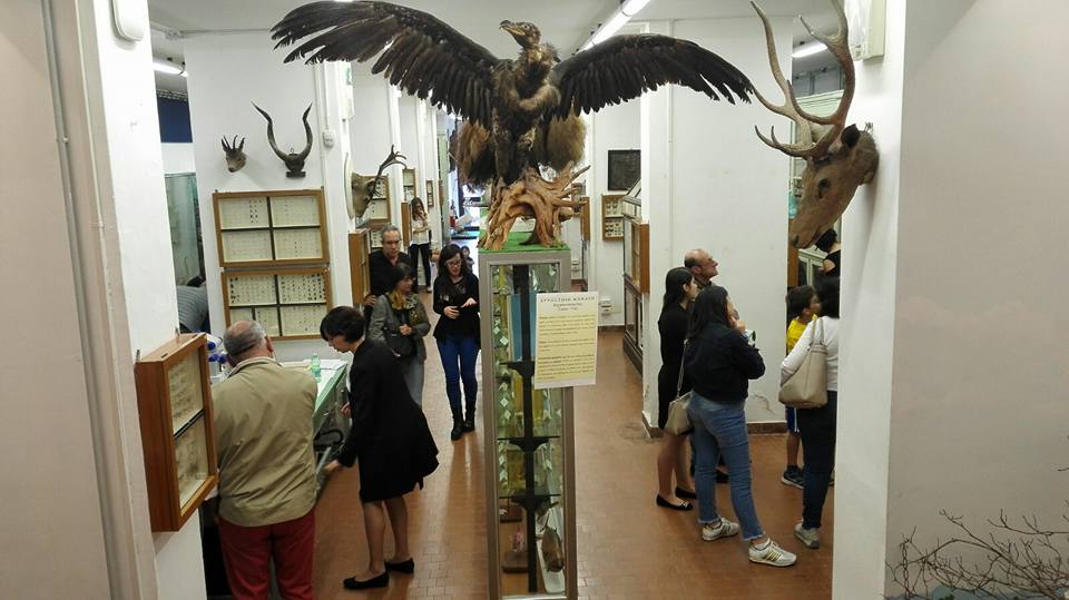 14/15 maggio 2016 - 20ma edizione monumenti aperti a cagliari