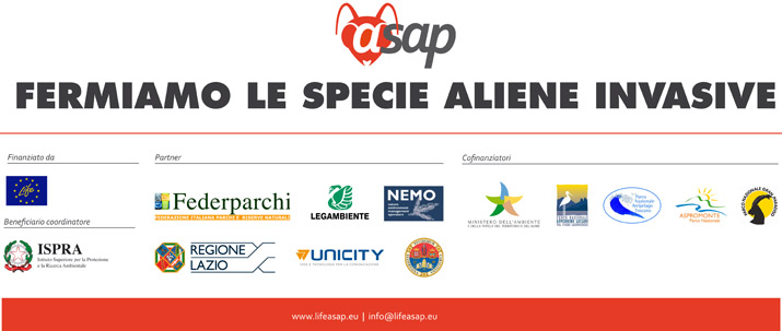 scarica la brochure