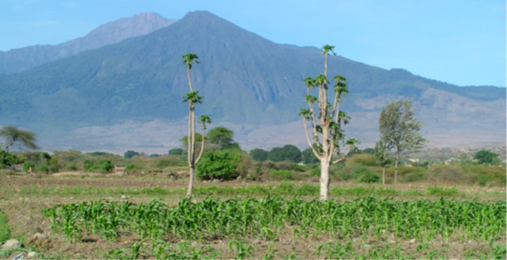 paesaggio africano della Rift Valley (Etiopia, Kenia, Tanzania) 