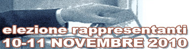 votazioni 10 e 11 novembre 2010