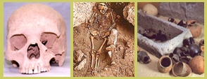 www.anthroponet.it
