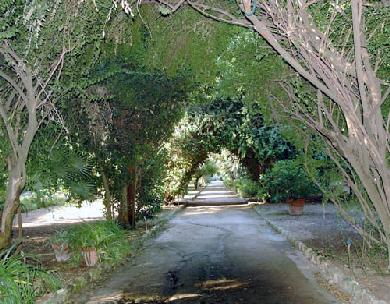 uno scorcio dell’orto botanico