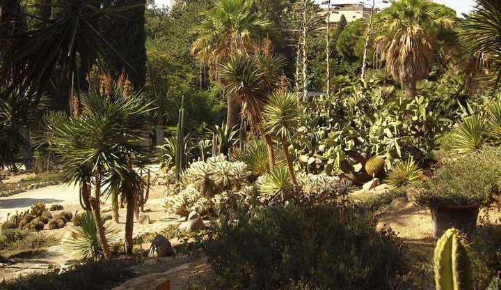 HBK - Orto Botanico