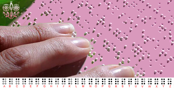 Braille