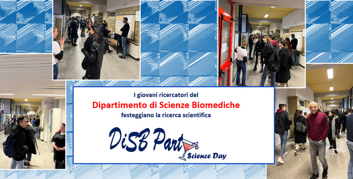 Alcune delle immagini pervenute in diretta dall'evento