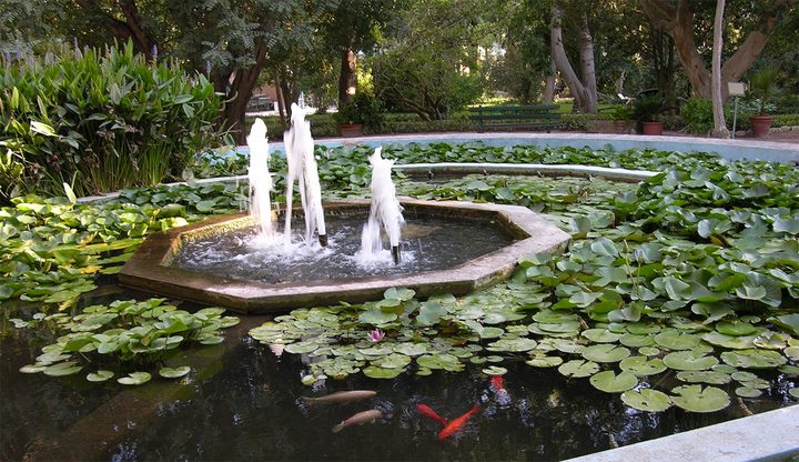 Un'immagine dell'Orto Botanico dell'Universit&agrave; di Cagliari