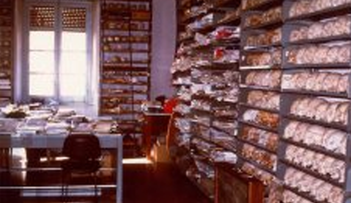 Museo sardo di Antropologia ed Etnografia