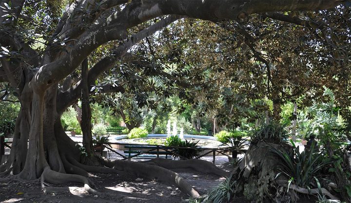 L'Orto Botanico