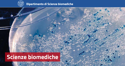 Le pagine web di Scienze Biomediche (https://unica.it/unica/it/dip_scienzebiomed.page), dipartimento di UniCa diretto dalla professoressa Iole Tomassini Barbarossa