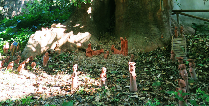 Il presepe all'Orto botanico di Cagliari per il Natale 2022