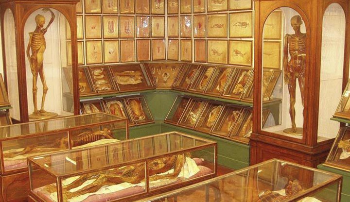 Museo delle Cere