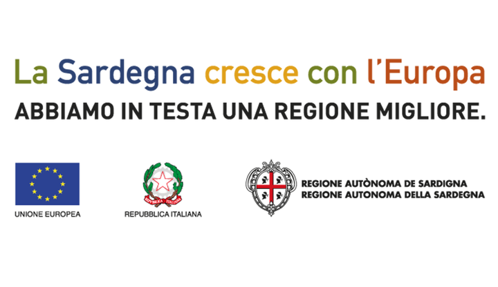 Finanziamento P.O.R FESR 2007-2013, Obiettivo Competitivit&agrave; Regionale e Occupazione, Asse I Societ&agrave; dell&rsquo;informazione&ndash;Linea di Attivit&agrave; 1.2.2.c