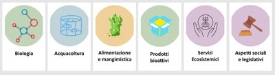 Le sei aree tematiche del network SeaWheat