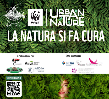 La festa della Natura, un'occasione di incontro e condivisione di valori e di stili di vita legati alla sostenibilit&agrave; ambientale e al benessere dei cittadini