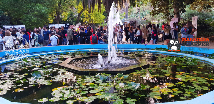 L'Orto botanico dell'Universit&agrave; di Cagliari. Il giardino dell'ateneo, nel centro della citt&agrave; (viale Sant'Ignazio da Laconi) 11), ha ospitato la manifestazione per il secondo anno consecutivo