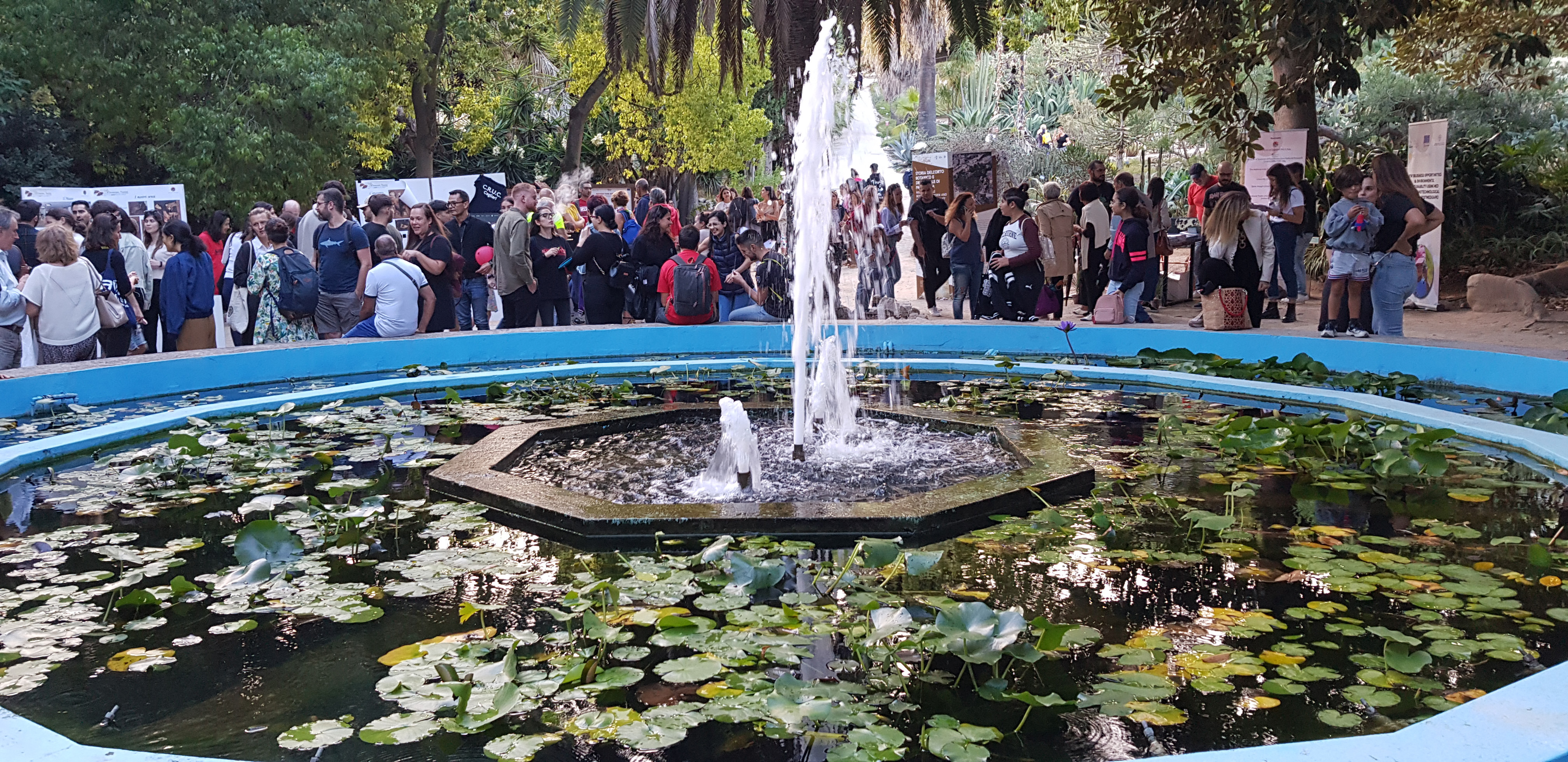 Orto botanico di Cagliari. La vasca centrale "delle Ninfee"
