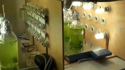 Un lavoro minuzioso, apertosi nel 2006 al dipartimento di Botanica e proseguito al Centro interdipartimentale guidato da Giacomo Cao