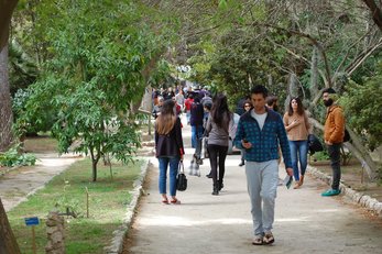 Visitatori nel viale centrale