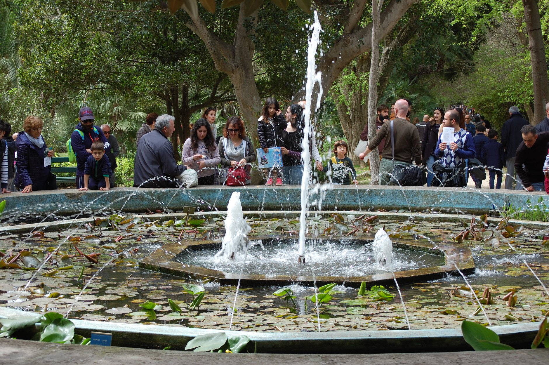 Passeggiata nella bellezza dell'Orto Botanico