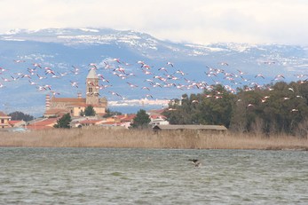 Una suggestiva immagine della Laguna di Santa Giusta