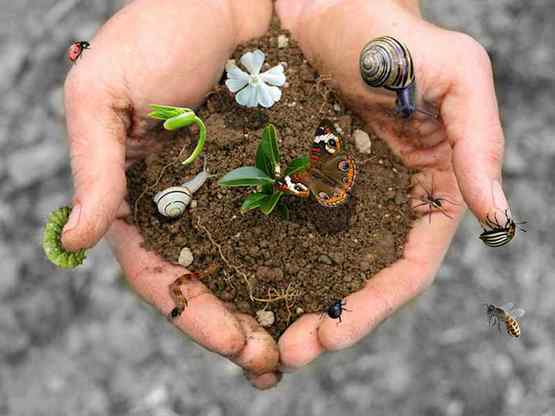 Giornata della biodiversit&agrave; al Parco di Molentargius