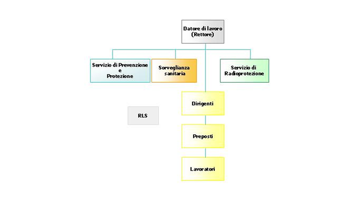 Organizzazione della sicurezza
