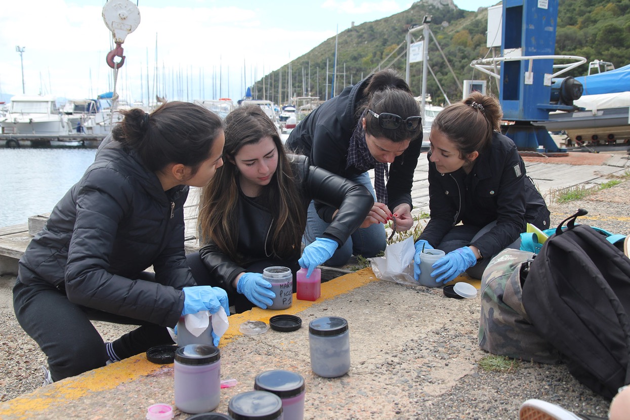 Trattamento dei campioni con &ldquo;Rosa del Bengala&rdquo; per  lo studio delle microfaune vive contenute nei sedimenti appena prelevati nel Golfo di Cagliari: eccellenti indicatori di qualit&agrave; ambientale.