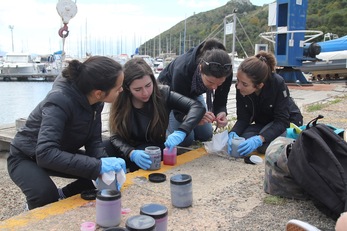 Gli studenti a lavoro sul trattamento dei campioni con &ldquo;Rosa del Bengala