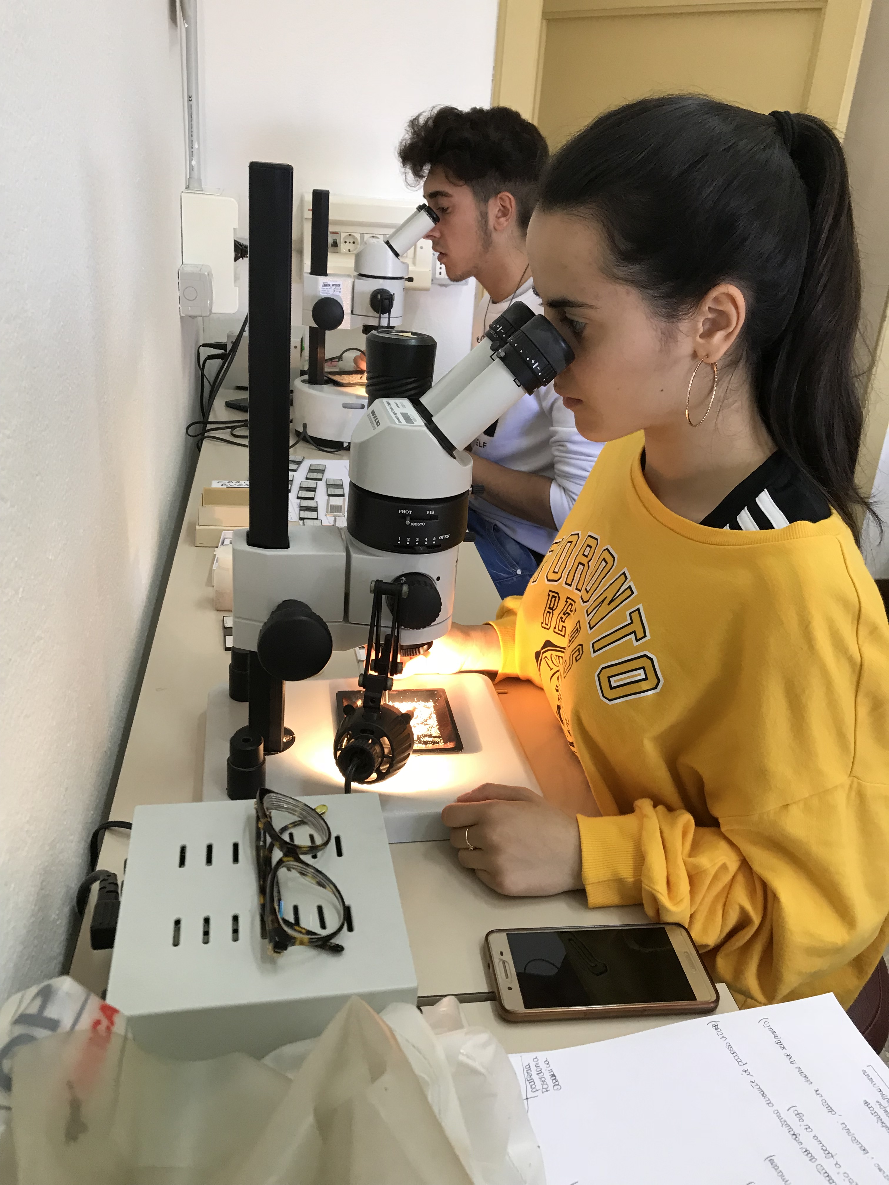 Gli studenti in laboratorio