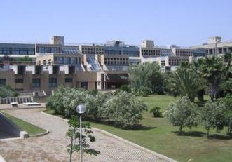 The Neuroscience and Anthropology section