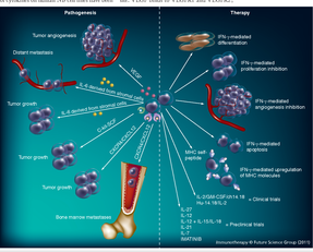 La Sardegna &egrave; quarta regione italiana nella graduatoria decrescente per incidenza di ricovero per causa di neuroblastoma e di altre rare patologie neoplastiche. (foto Semantic scholar)