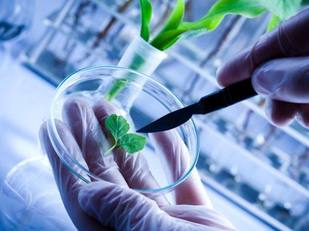 Ricerca e metodo scientifico: valori irrinunciabili per l'Ateneo. "La conoscenza, con l'innovazione e la creativit&agrave; devono vivere sempre pi&ugrave; all'interno del mondo produttivo"