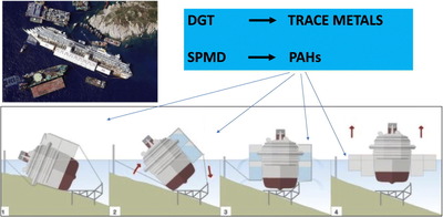 Graphical abstract della pubblicazione scientifica del team di UniCa