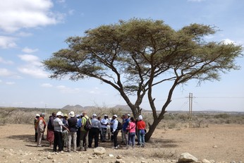 Collaborano al Progetto FLOWERED 14 partner di sette diverse nazioni: Italia, Spagna, Inghilterra, Tunisia, Etiopia, Kenia e Tanzania