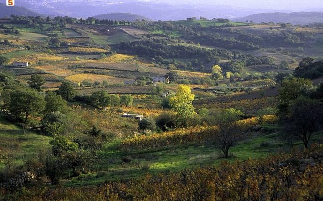 Atzara, il paesaggio circostante &ndash; Fonte www.sardegnaturismo.it