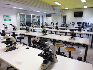 Ricerca, pilastro portante della politica di sviluppo dell'Universit&agrave; del capoluogo. Nell'immagine, uno scorcio dei laboratori di chimica