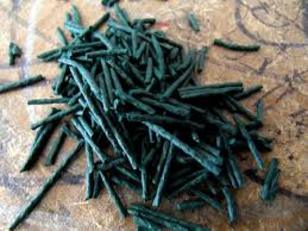 Alga Spirulina: l'idea &egrave; di sfruttare sia le potenzialit&agrave; economiche, sia quelle connesse alla creazione di un distretto ad hoc
