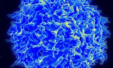 Un'immagine evocativa tratta dai lavori scientifici presentati a Biovaria 2018