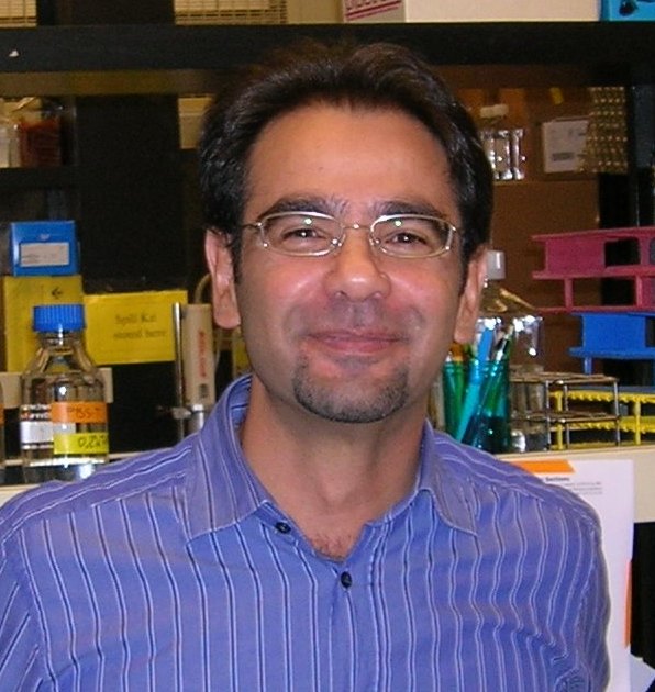 Roberto Loi