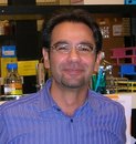 Roberto Loi