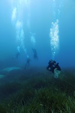 I ricercatori in azione. Le indagini riguardano aree dell'intero Mediterraneo. Tra queste, l'habitat dell'isola di Spargi