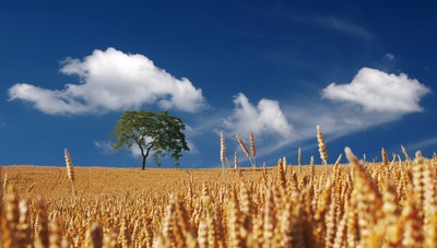 Agrifood e Ict al centro del ciclo formativo finanziato dalla Regione Sardegna