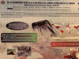 Il poster dei ricercatori cagliaritani guidati da Andrea Sabatini