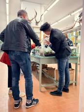Una foto scattata al Museo di Zoologia