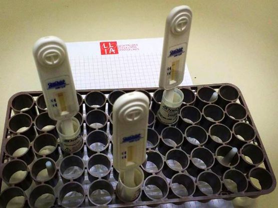 Test HIV della Lila