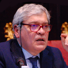 il professor Massimo Vanzi