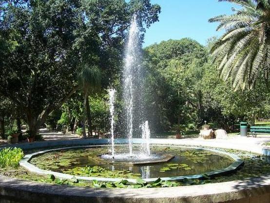 Un'immagine dell'Orto Botanico dell'Universit&agrave; di Cagliari