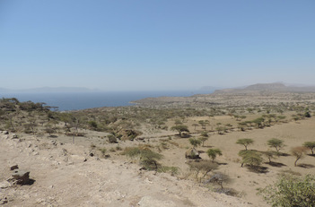 Rift Valley. Immagine panoramica di una delle zone studio del Progetto Flowered